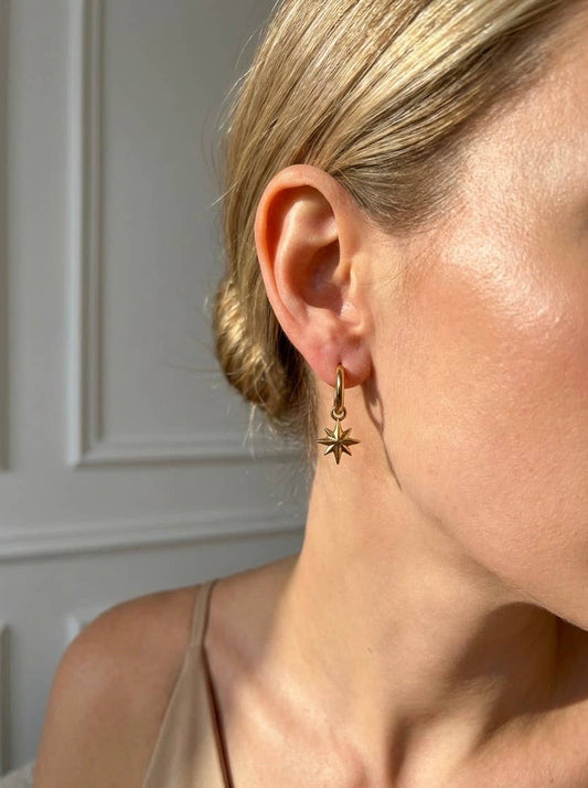 Stainless steel earrings 124RX347