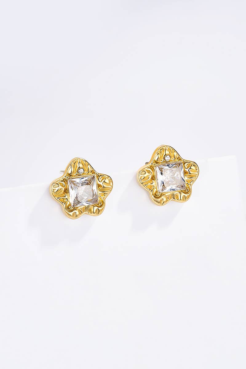 Stainless steel earrings 124RX210
