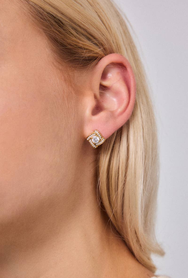 Stainless steel earrings 124RX215