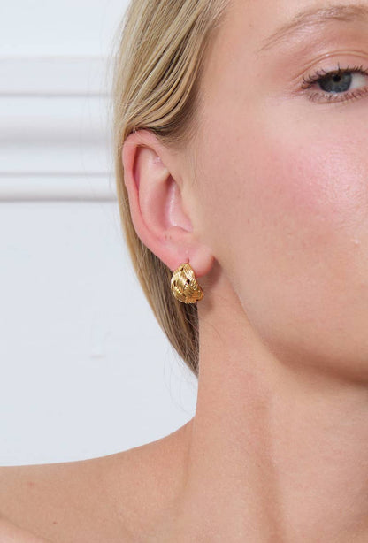 Boucles d'oreilles en acier inoxydable 124AQ237
