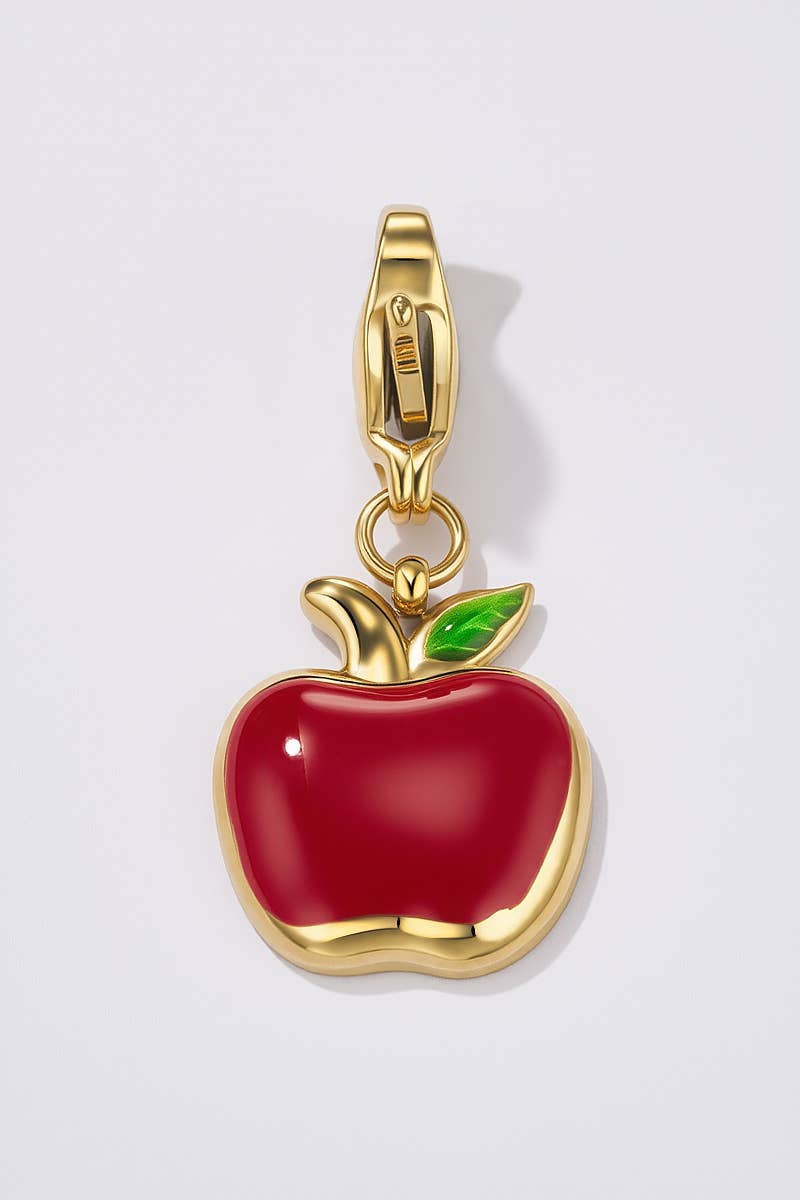 Stainless steel charm CHARM109AQ