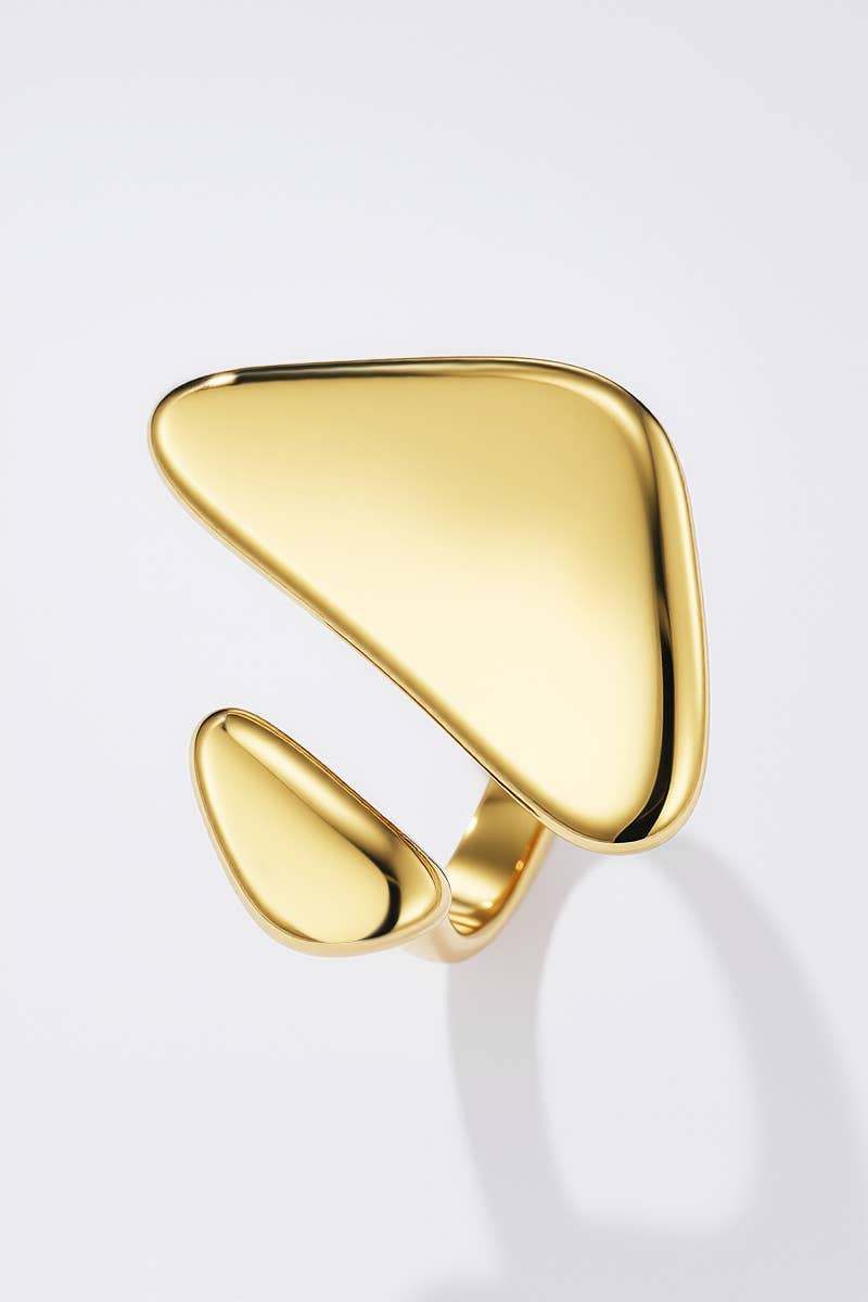 424AQ251 Stainless steel ring