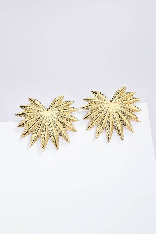 124AQ413 stainless steel earrings