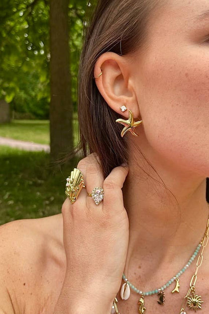 Stainless steel earrings 124AQ414