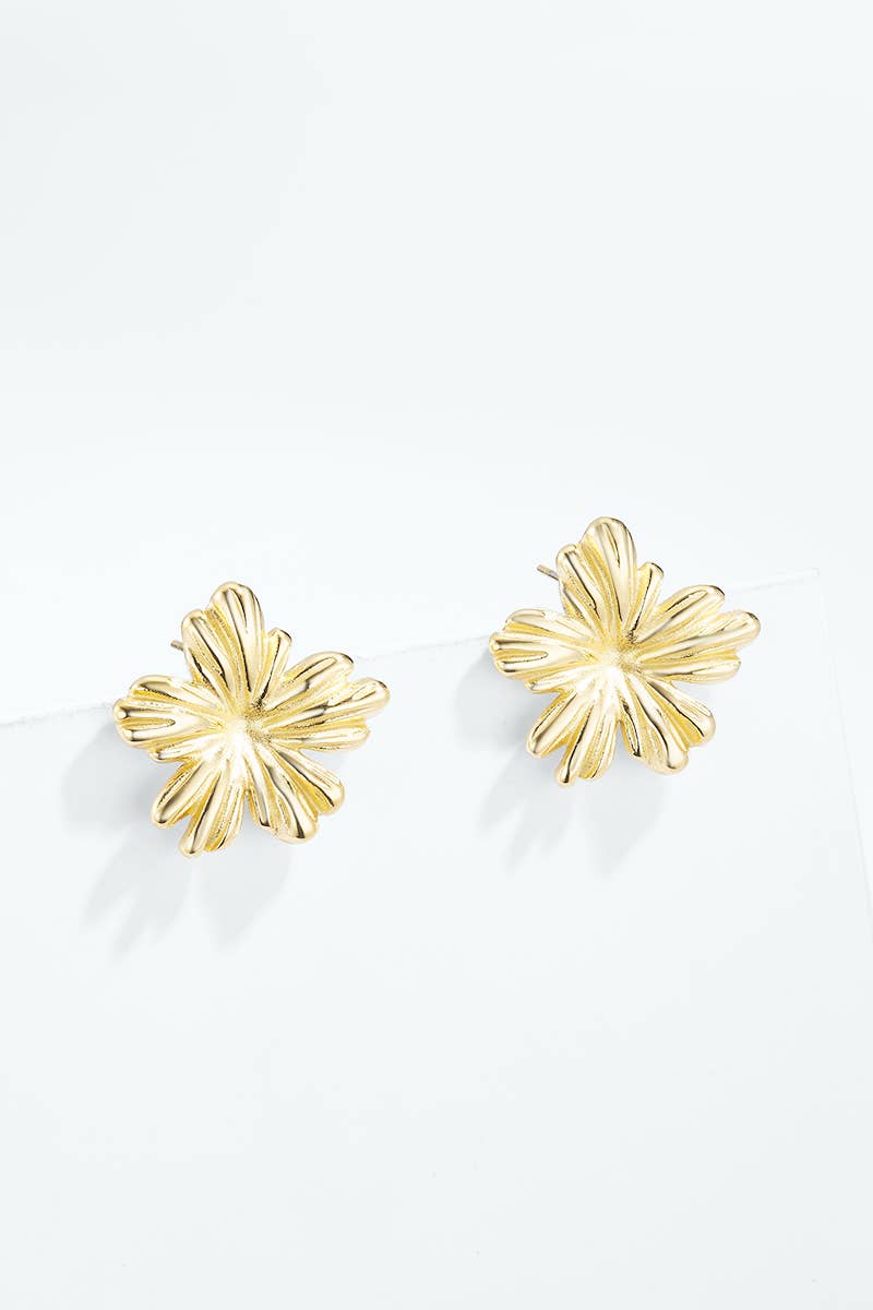 Boucles d'oreilles en acier inoxydable 124AQ627