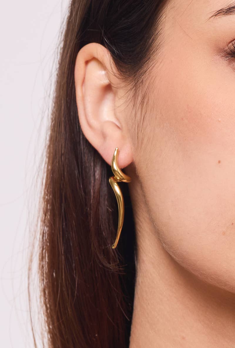 124AQ388 stainless steel earrings