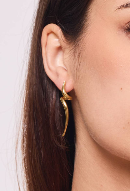 124AQ388 stainless steel earrings
