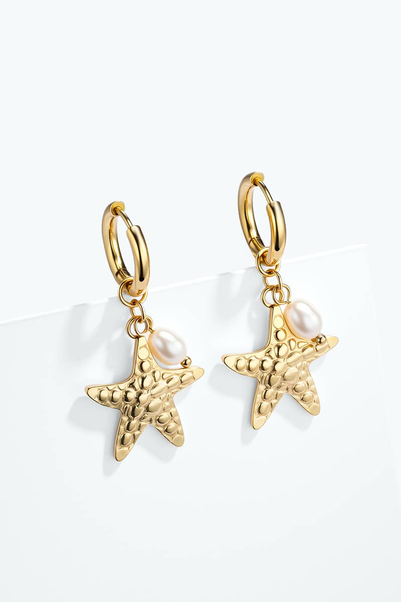 Stainless steel earrings 124AQ651