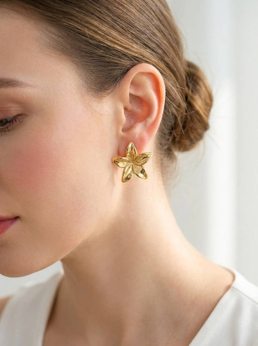 Boucles d'oreilles en acier inoxydable 124AQ270