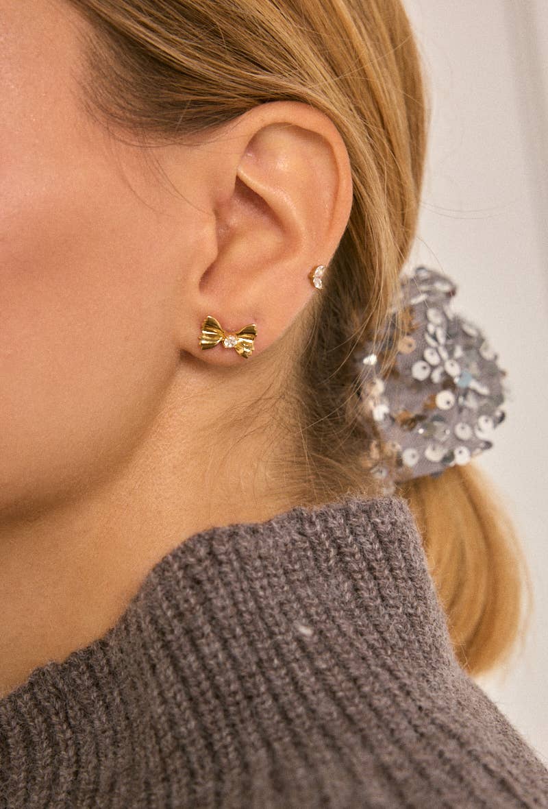Stainless steel earrings 124RX213