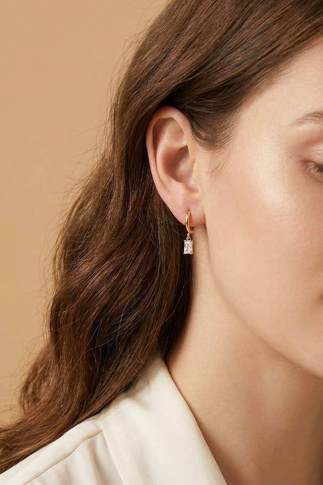 Stainless steel earrings 124AQ732