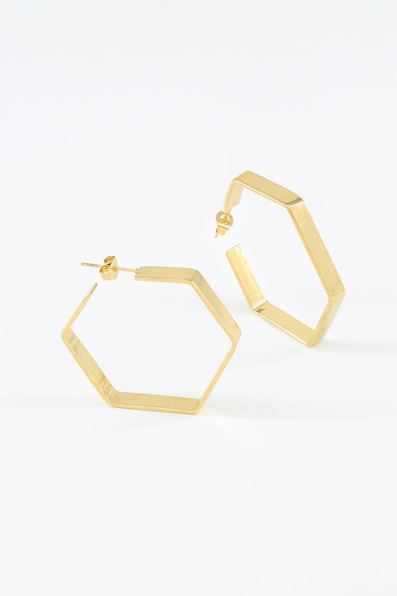 124RX99 stainless steel earrings