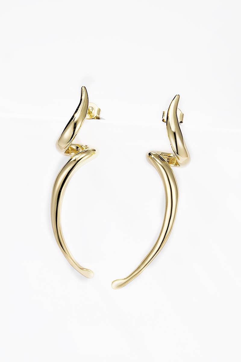 124AQ388 stainless steel earrings