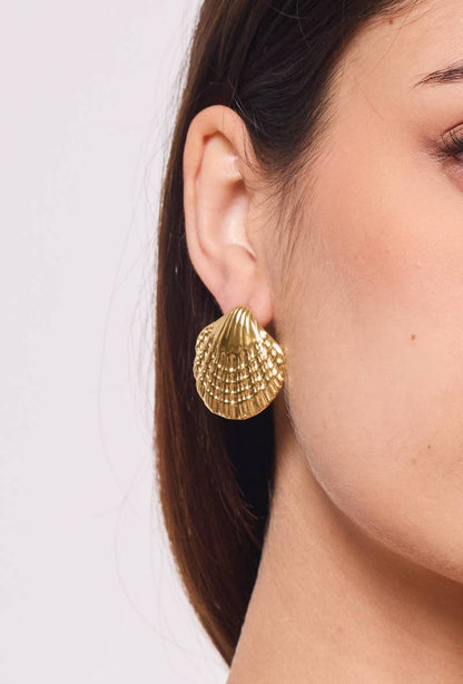 Boucles d'oreille en acier inoxydable 124AQ381