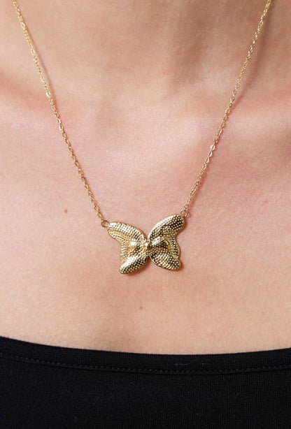 Collier en acier inoxydable 224AQ71
