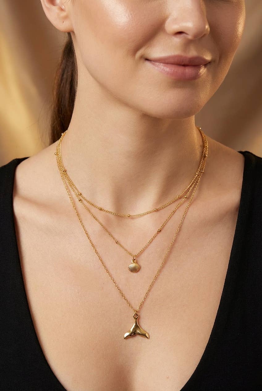 Collier en acier inoxydable 224DY42