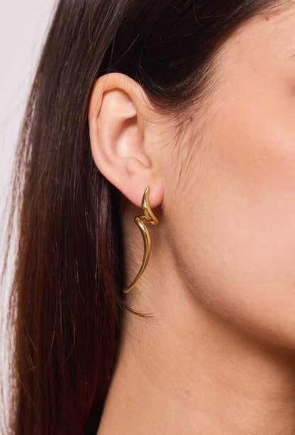 124AQ388 stainless steel earrings