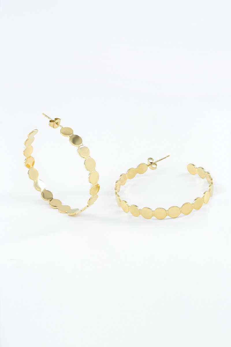 124RX98 stainless steel earrings