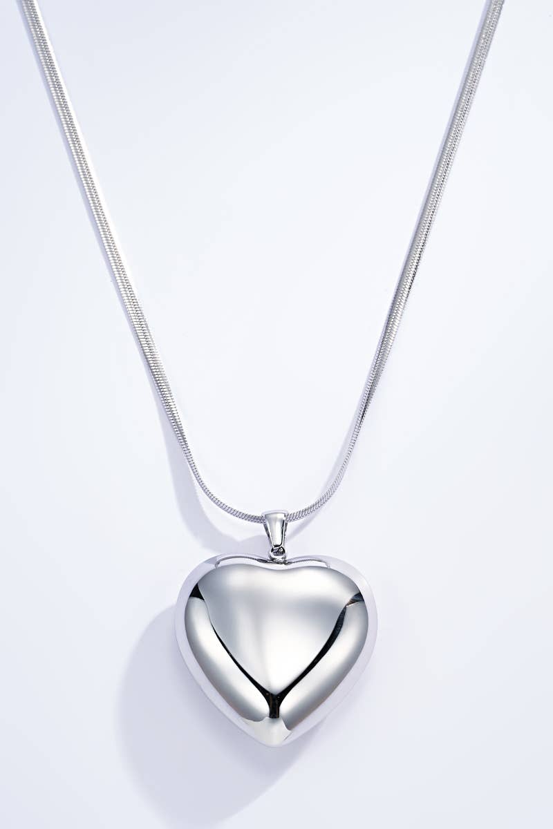 Collier en acier inoxydable 224AQ66