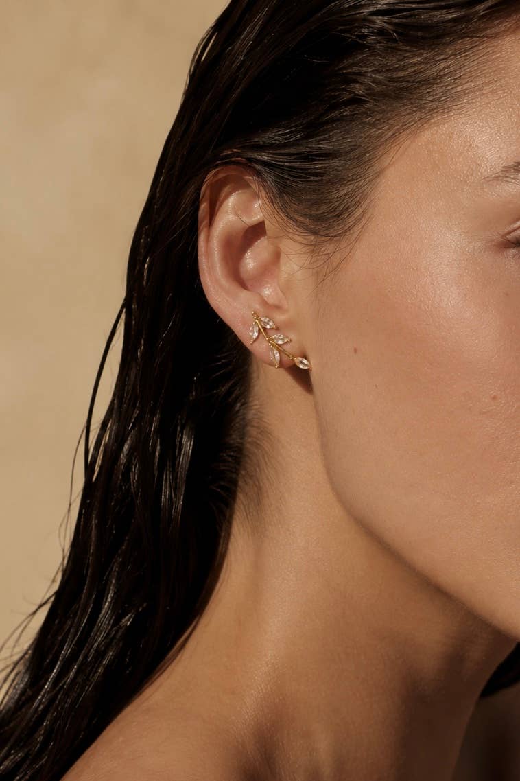Boucles d'oreilles en acier inoxydable 124AQ655