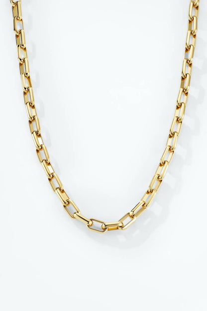 Stainless steel chain necklace 224AQ352