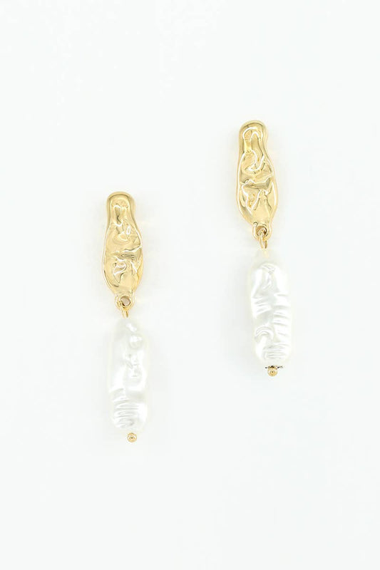 Stainless steel earrings 124AQ321
