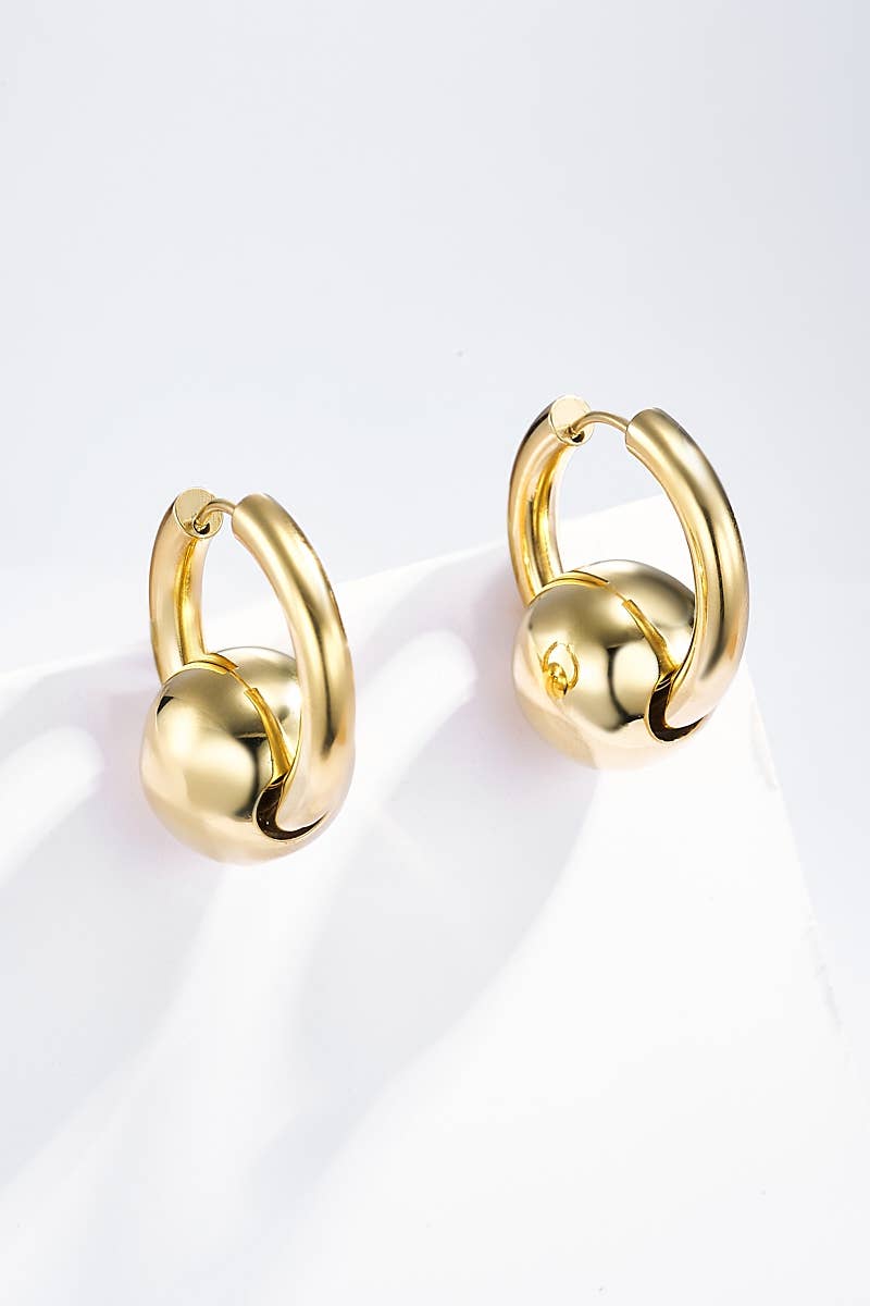 124AQ250 stainless steel earrings