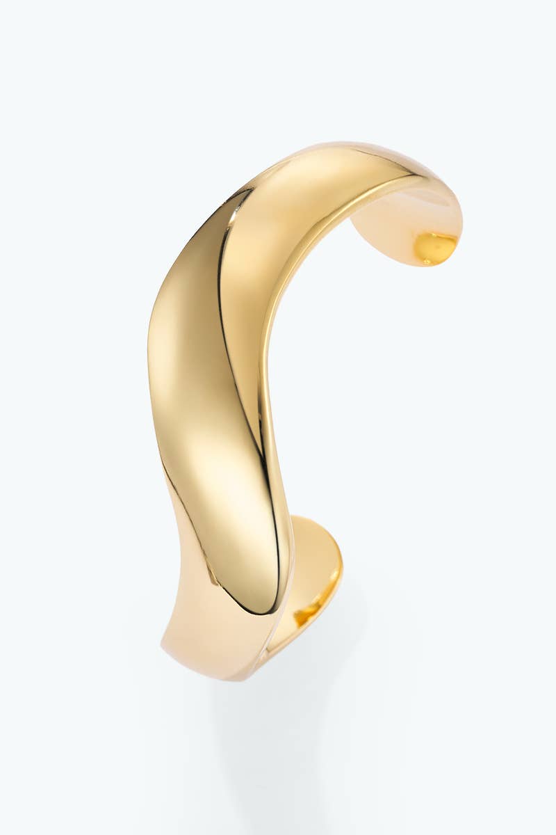 Stainless steel bangle bracelet 324AQ379
