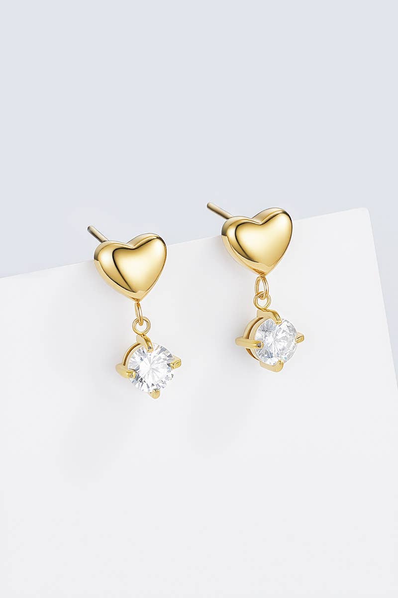 124AQ512 stainless steel earrings