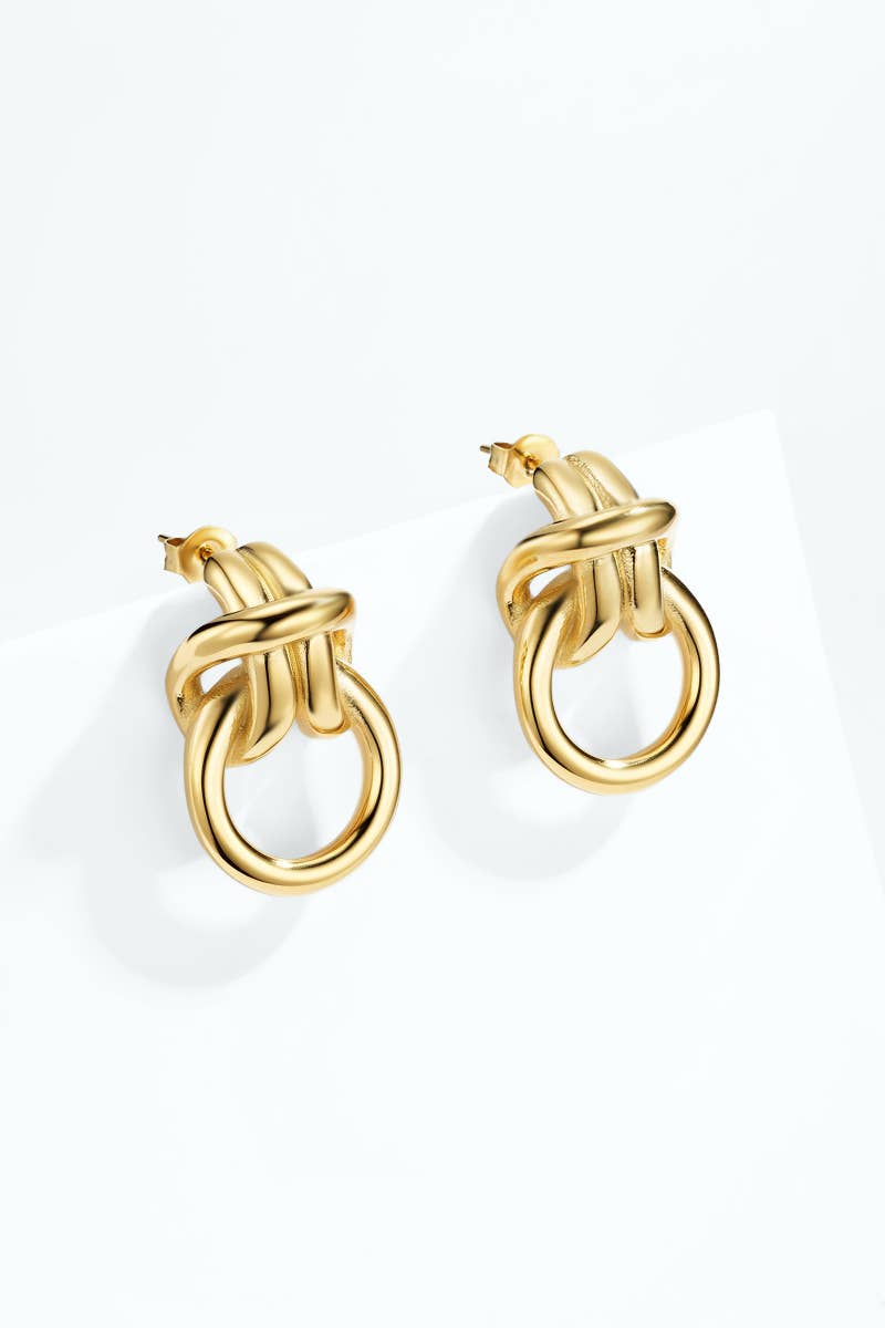 Stainless steel earrings 124AQ695