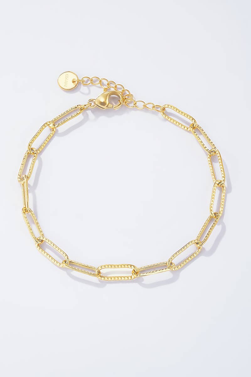 Stainless steel charm bracelet 324CA57