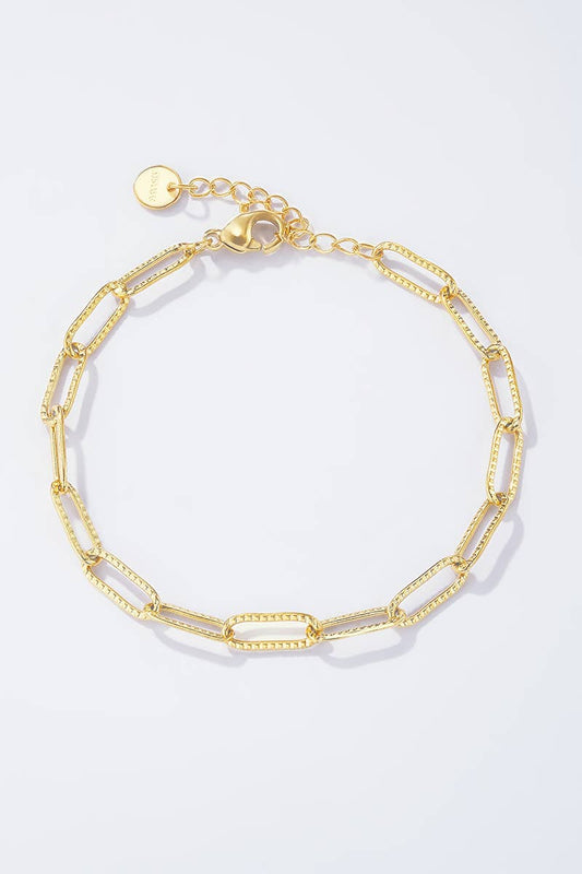 Stainless steel charm bracelet 324CA57