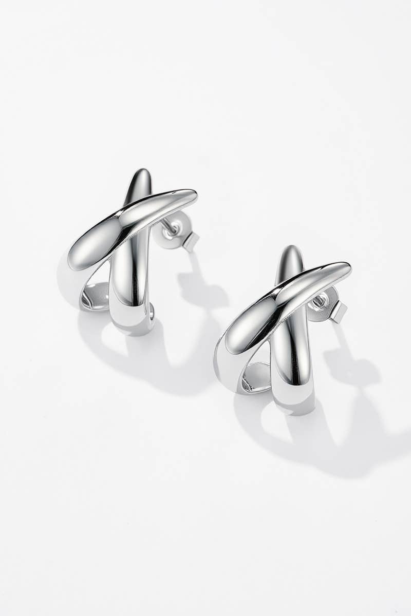 Stainless steel earrings 124AQ348