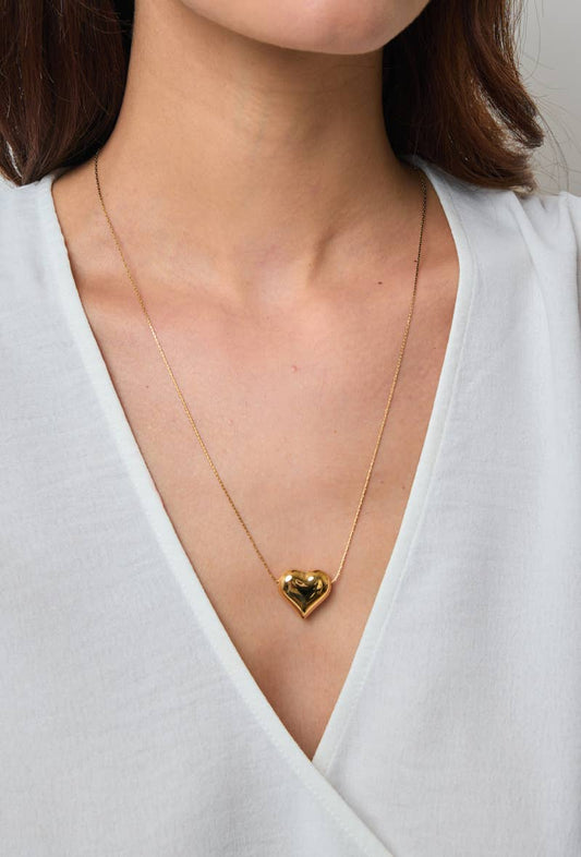 Collier en acier inoxydable 224AQ44