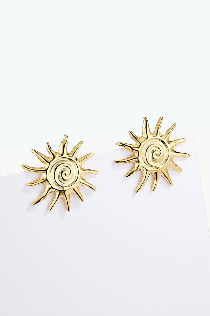 124AQ569 stainless steel earrings