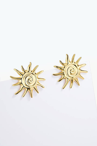 124AQ569 stainless steel earrings