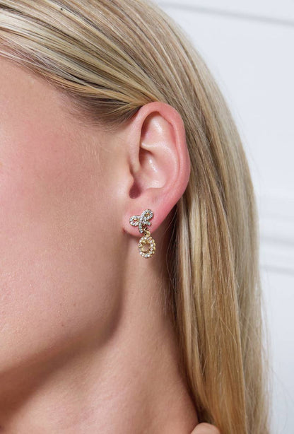 Stainless steel earrings 124AQ248
