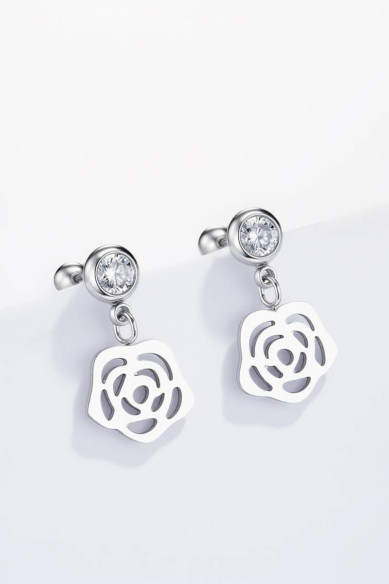 Stainless steel earrings 124AQ362