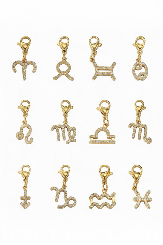 Charm breloque en acier inoxydable CHARM-ZODIAC