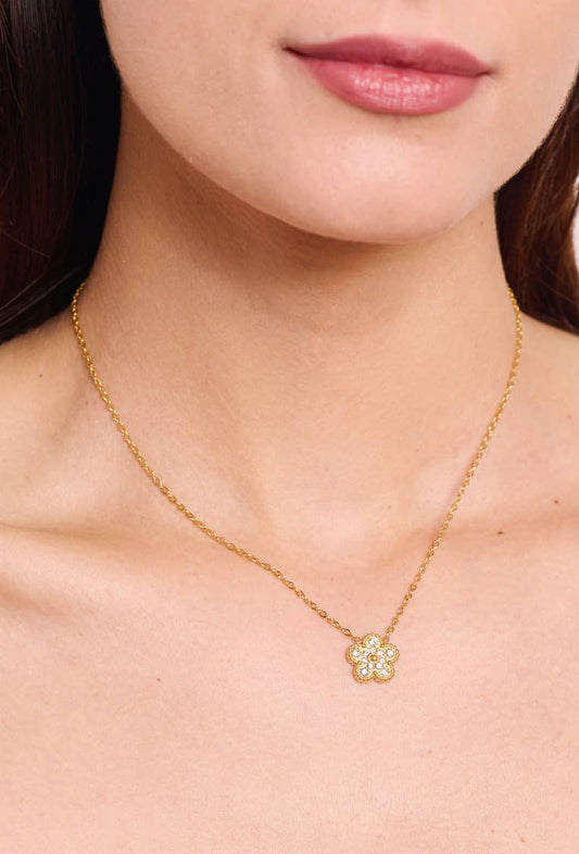 Collier en acier inoxydable 224CA13
