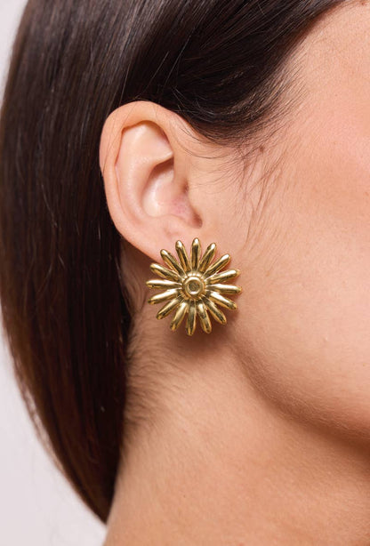 Stainless steel earrings 124RX127