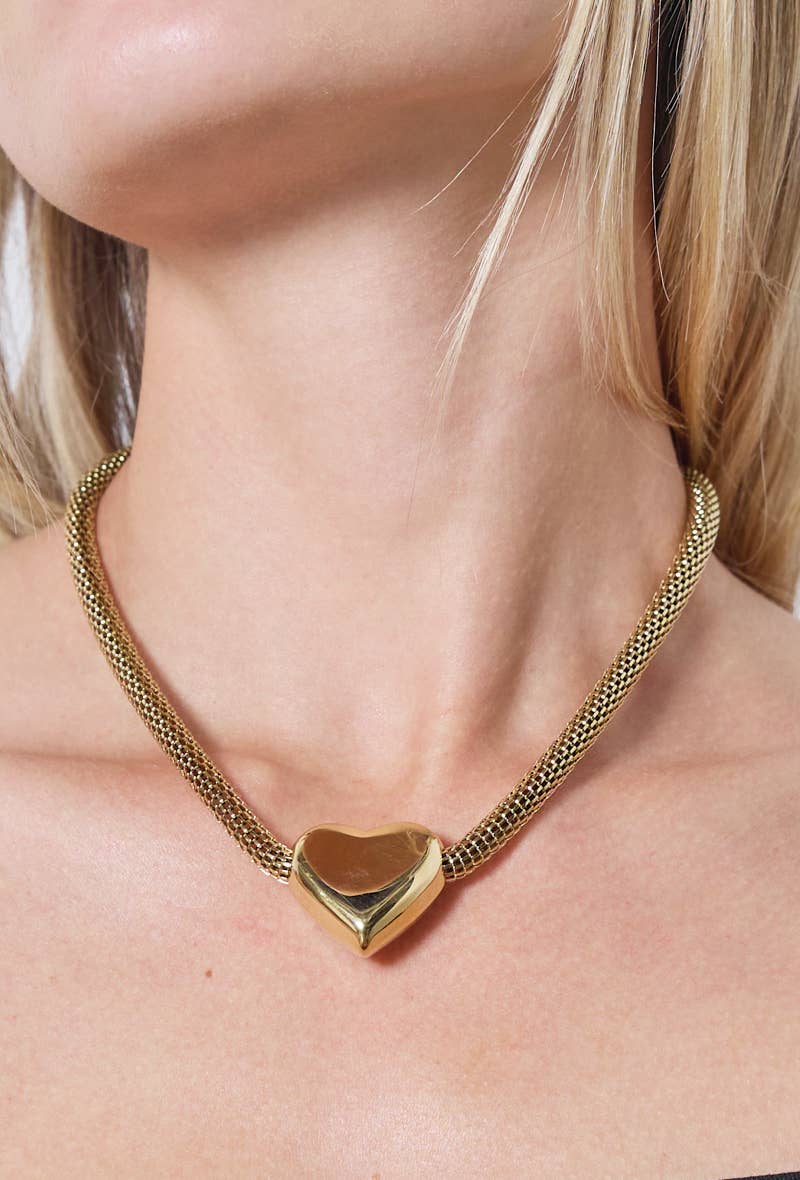 Collier en acier inoxydable 224AQ54
