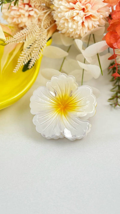 Pince à cheveux fleur YH33