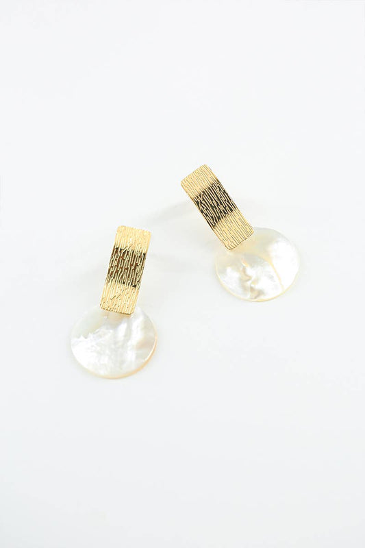 124RX87 stainless steel earrings