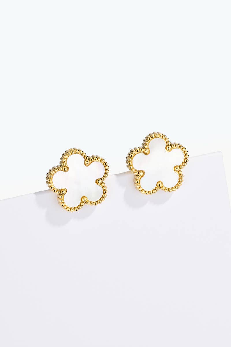 Boucles d'oreilles en acier inoxydable 124AQ001