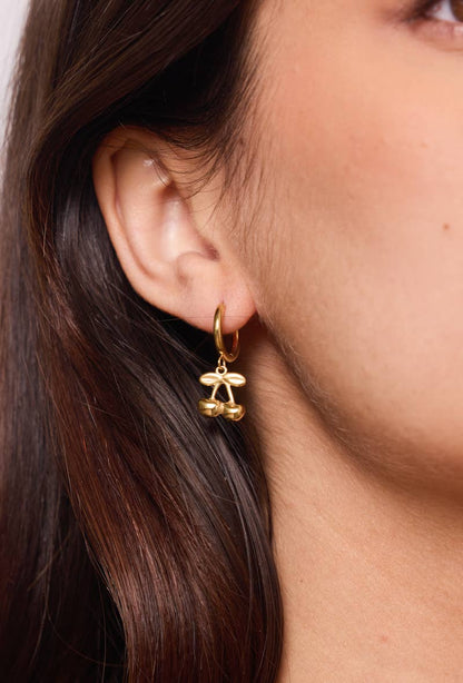 Stainless steel earrings 124AQ393