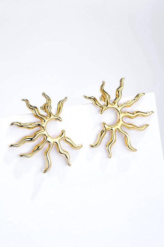 Boucles d'oreilles en acier inoxydable 124AQ386