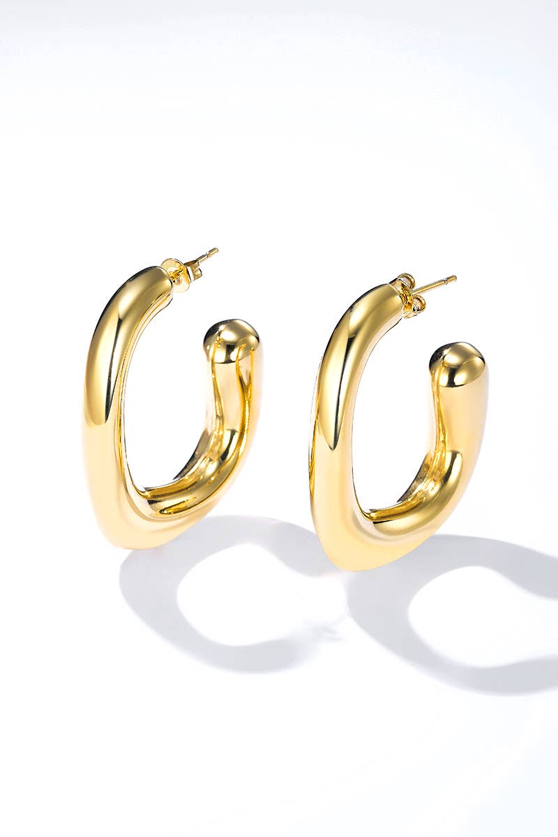 Boucles d'oreilles en acier inoxydable 124AQ398