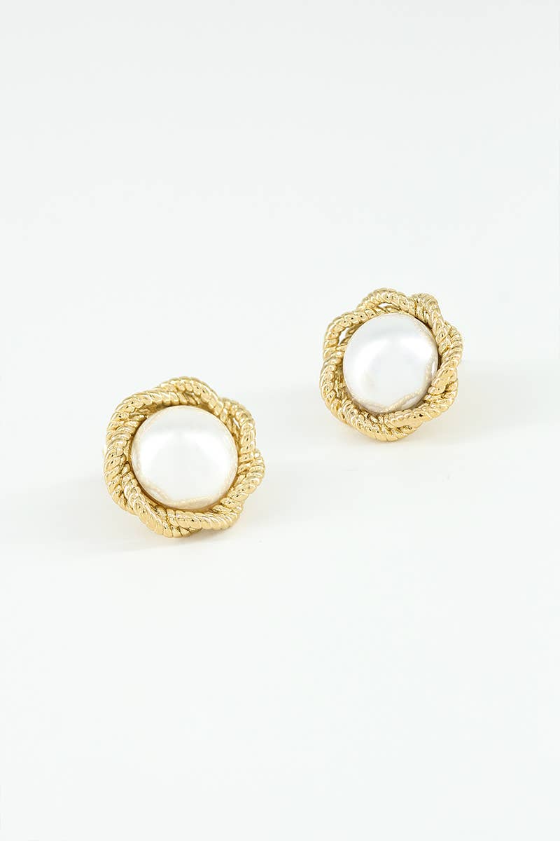 Stainless steel earrings 124AQ320