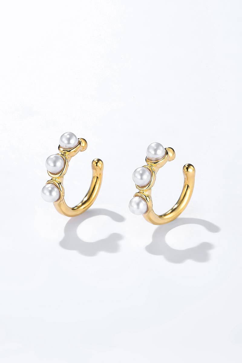 Stainless steel non-pierced earrings 124AQ353